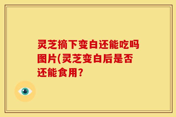 灵芝摘下变白还能吃吗图片(灵芝变白后是否还能食用?