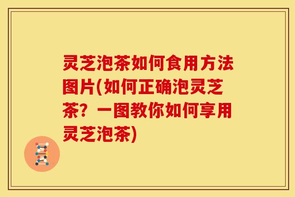 灵芝泡茶如何食用方法图片(如何正确泡灵芝茶?一图教你如何享用灵芝泡茶)