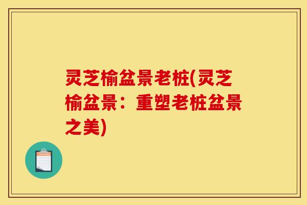 灵芝榆盆景老桩(灵芝榆盆景：重塑老桩盆景之美)