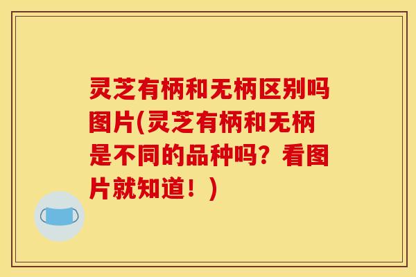 灵芝有柄和无柄区别吗图片(灵芝有柄和无柄是不同的品种吗?看图片就知道!)