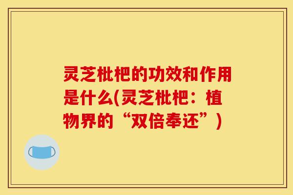 灵芝枇杷的功效和作用是什么(灵芝枇杷:植物界的“双倍奉还”)