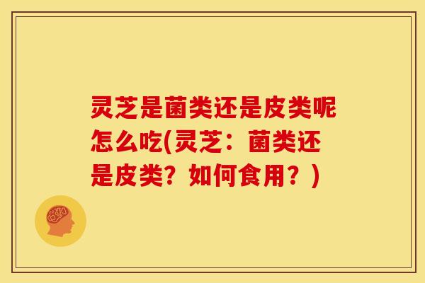 灵芝是菌类还是皮类呢怎么吃(灵芝:菌类还是皮类?如何食用?)