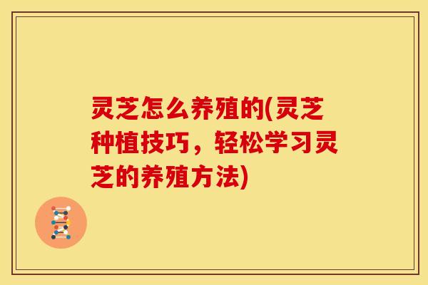 灵芝怎么养殖的(灵芝种植技巧,轻松学习灵芝的养殖方法)