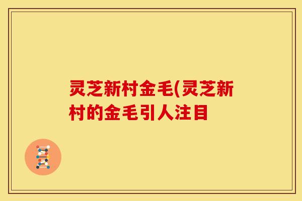 灵芝新村金毛(灵芝新村的金毛引人注目