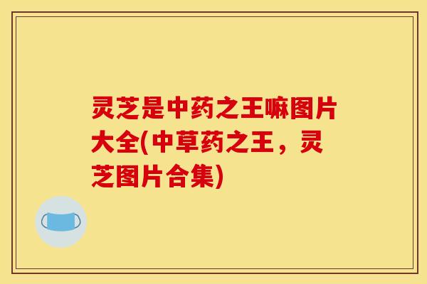 灵芝是中药之王嘛图片大全(中草药之王,灵芝图片合集)