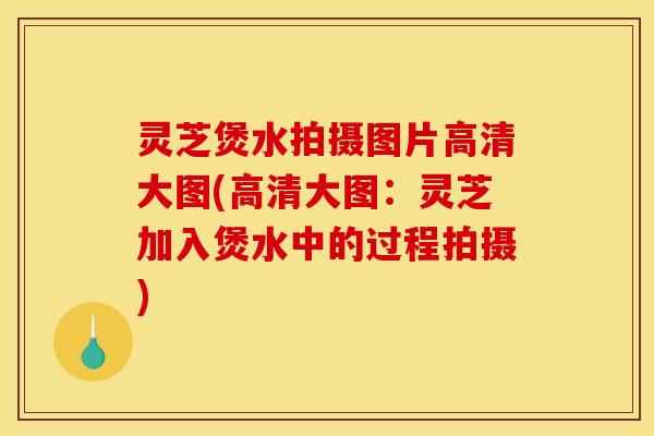 灵芝煲水拍摄图片高清大图(高清大图：灵芝加入煲水中的过程拍摄)