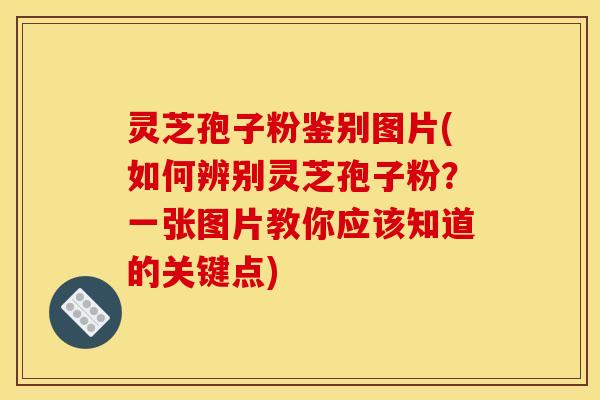 灵芝孢子粉鉴别图片(如何辨别灵芝孢子粉?一张图片教你应该知道的关键点)