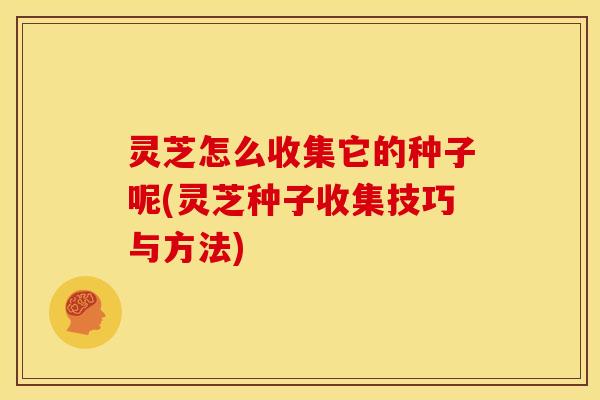 灵芝怎么收集它的种子呢(灵芝种子收集技巧与方法)