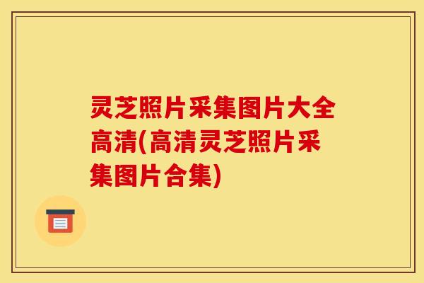灵芝照片采集图片大全高清(高清灵芝照片采集图片合集)