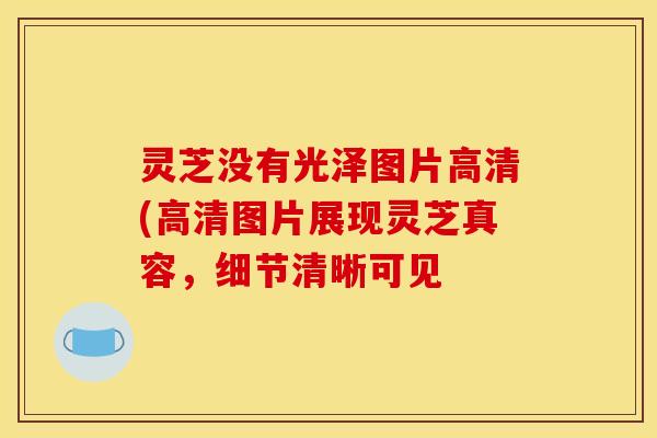 灵芝没有光泽图片高清(高清图片展现灵芝真容,细节清晰可见