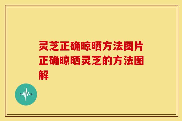灵芝正确晾晒方法图片正确晾晒灵芝的方法图解