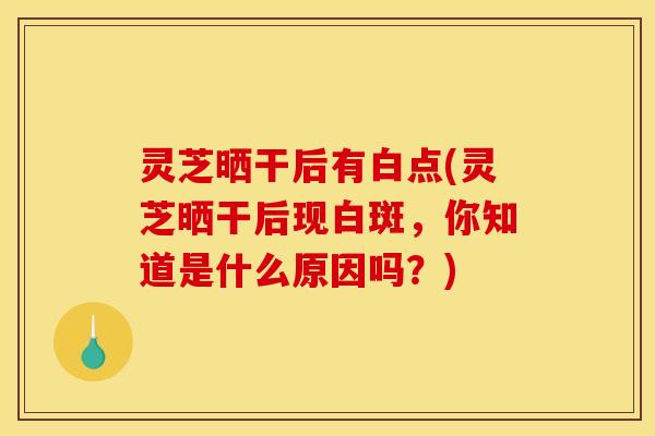 灵芝晒干后有白点(灵芝晒干后现白斑,你知道是什么原因吗?)