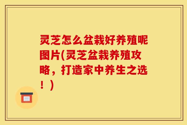 灵芝怎么盆栽好养殖呢图片(灵芝盆栽养殖攻略，打造家中养生之选！)