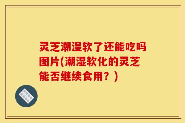 灵芝潮湿软了还能吃吗图片(潮湿软化的灵芝能否继续食用？)