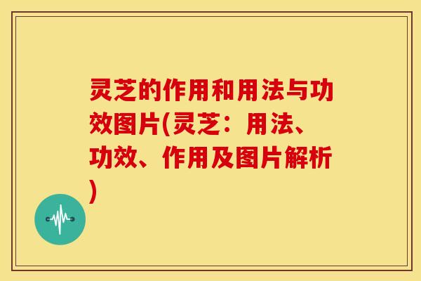 灵芝的作用和用法与功效图片(灵芝:用法、功效、作用及图片解析)