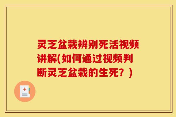 灵芝盆栽辨别死活视频讲解(如何通过视频判断灵芝盆栽的生死?)