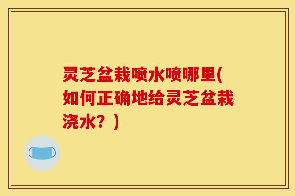 灵芝盆栽喷水喷哪里(如何正确地给灵芝盆栽浇水?)