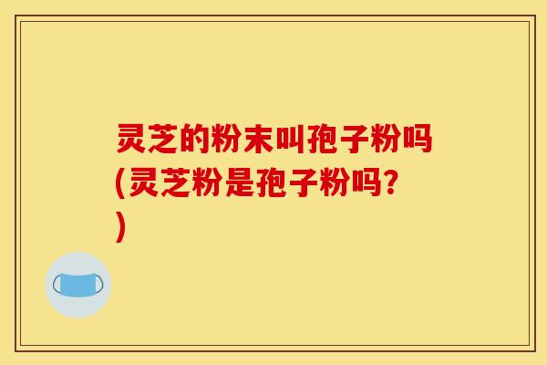 灵芝的粉末叫孢子粉吗(灵芝粉是孢子粉吗?)