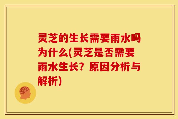灵芝的生长需要雨水吗为什么(灵芝是否需要雨水生长?原因分析与解析)