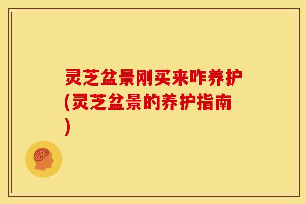 灵芝盆景刚买来咋养护(灵芝盆景的养护指南)