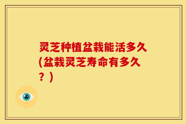 灵芝种植盆栽能活多久(盆栽灵芝寿命有多久?)
