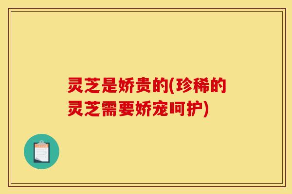 灵芝是娇贵的(珍稀的灵芝需要娇宠呵护)