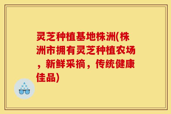 灵芝种植基地株洲(株洲市拥有灵芝种植农场,新鲜采摘,传统健康佳品)