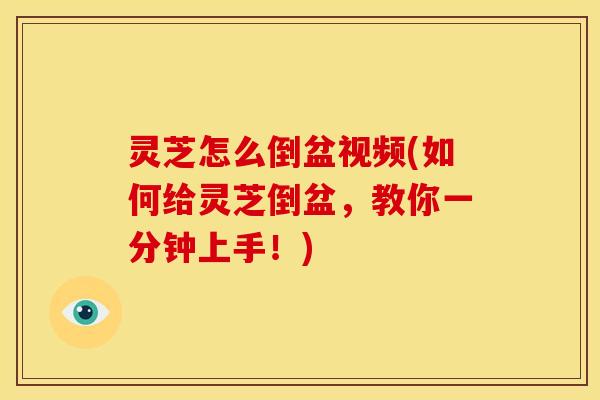 灵芝怎么倒盆视频(如何给灵芝倒盆,教你一分钟上手!)