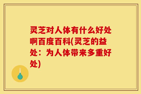 灵芝对人体有什么好处啊百度百科(灵芝的益处:为人体带来多重好处)
