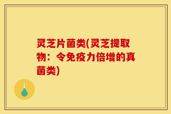 灵芝片菌类(灵芝提取物:令免疫力倍增的真菌类)