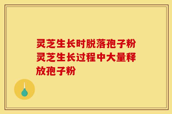 灵芝生长时脱落孢子粉灵芝生长过程中大量释放孢子粉