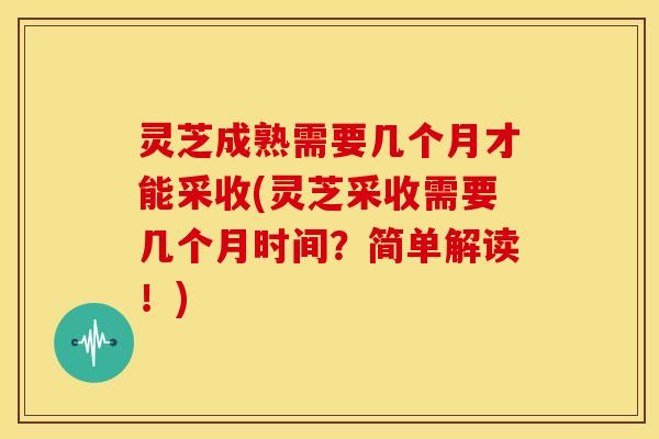 灵芝成熟需要几个月才能采收(灵芝采收需要几个月时间?简单解读!)
