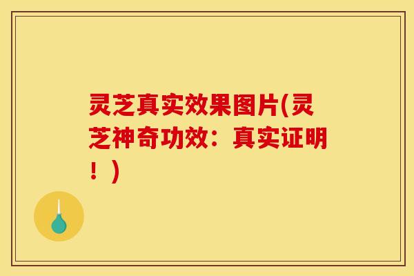 灵芝真实效果图片(灵芝神奇功效:真实证明!)