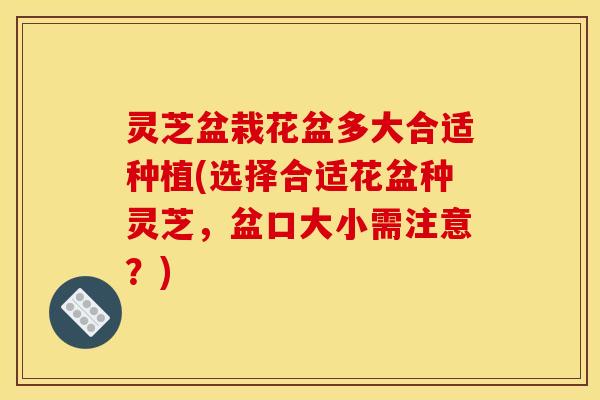 灵芝盆栽花盆多大合适种植(选择合适花盆种灵芝,盆口大小需注意?)