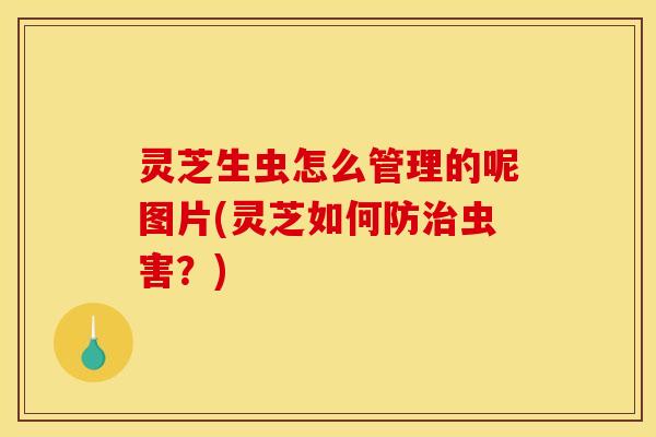 灵芝生虫怎么管理的呢图片(灵芝如何防治虫害？)