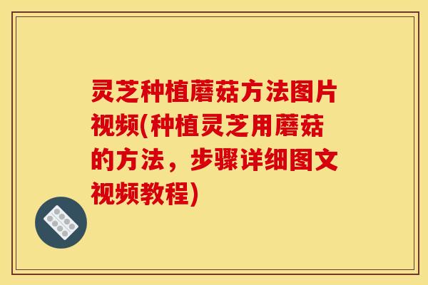 灵芝种植蘑菇方法图片视频(种植灵芝用蘑菇的方法,步骤详细图文视频教程)