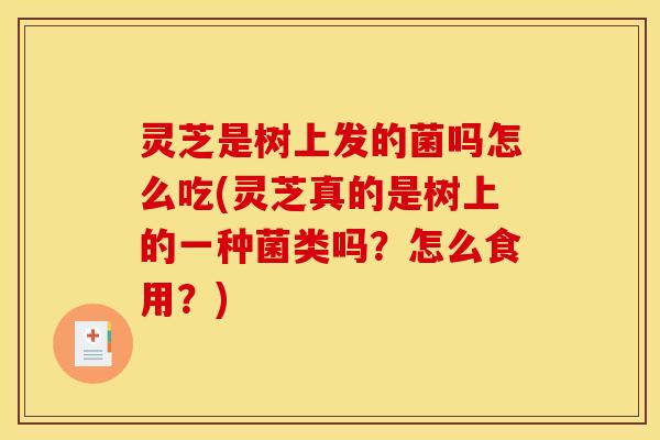 灵芝是树上发的菌吗怎么吃(灵芝真的是树上的一种菌类吗?怎么食用?)