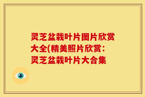 灵芝盆栽叶片图片欣赏大全(精美照片欣赏:灵芝盆栽叶片大合集