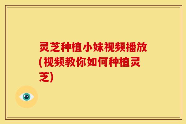 灵芝种植小妹视频播放(视频教你如何种植灵芝)