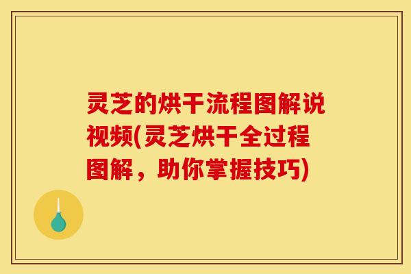 灵芝的烘干流程图解说视频(灵芝烘干全过程图解,助你掌握技巧)