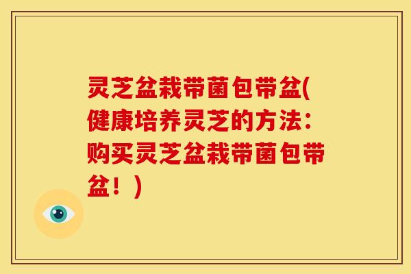 灵芝盆栽带菌包带盆(健康培养灵芝的方法:购买灵芝盆栽带菌包带盆!)