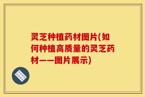 灵芝种植药材图片(如何种植高质量的灵芝药材——图片展示)