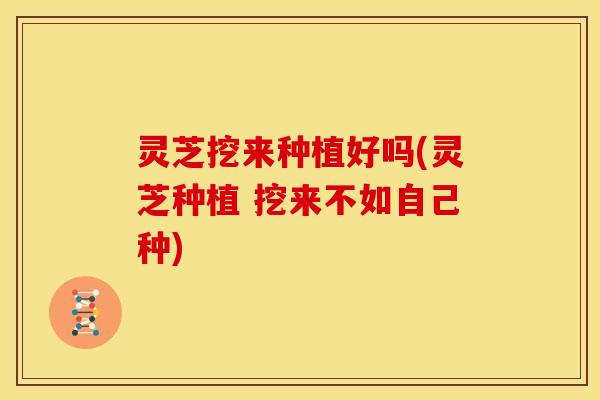 灵芝挖来种植好吗(灵芝种植 挖来不如自己种)