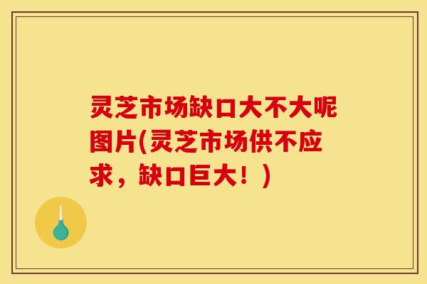 灵芝市场缺口大不大呢图片(灵芝市场供不应求,缺口巨大!)