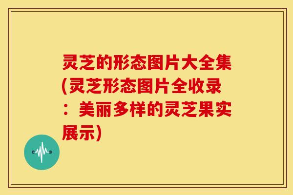 灵芝的形态图片大全集(灵芝形态图片全收录：美丽多样的灵芝果实展示)