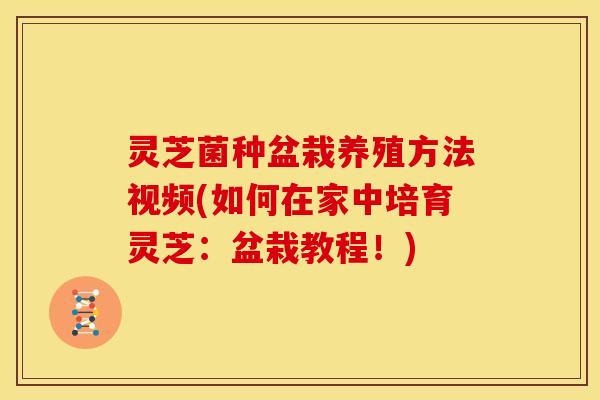 灵芝菌种盆栽养殖方法视频(如何在家中培育灵芝:盆栽教程!)