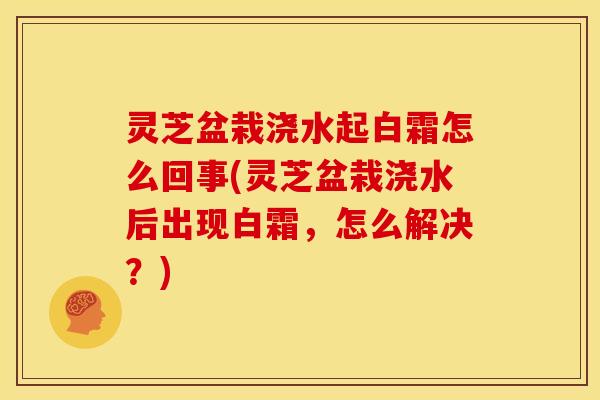 灵芝盆栽浇水起白霜怎么回事(灵芝盆栽浇水后出现白霜,怎么解决?)