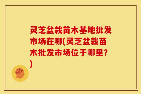 灵芝盆栽苗木基地批发市场在哪(灵芝盆栽苗木批发市场位于哪里?)