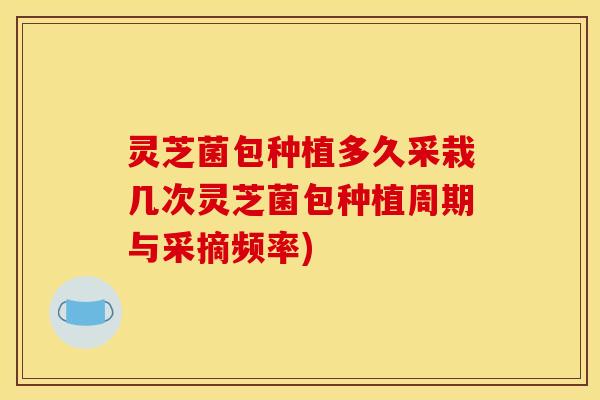 灵芝菌包种植多久采栽几次灵芝菌包种植周期与采摘频率)