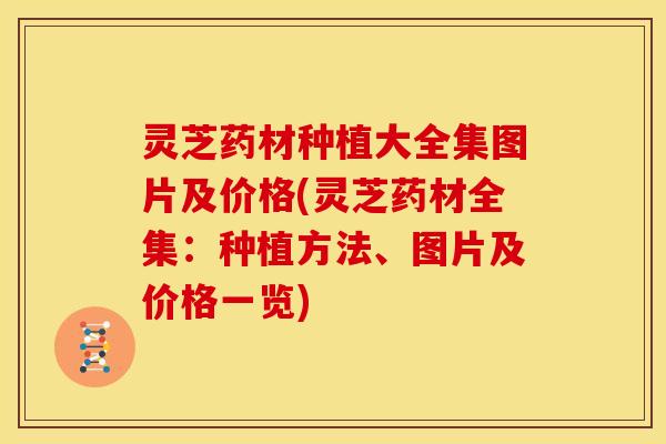 灵芝药材种植大全集图片及价格(灵芝药材全集:种植方法、图片及价格一览)